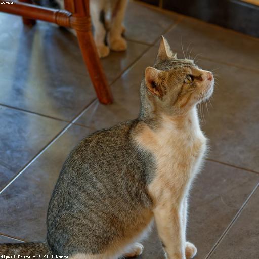 Едем в кемчик из тапков минус Sky Moon Bankroll