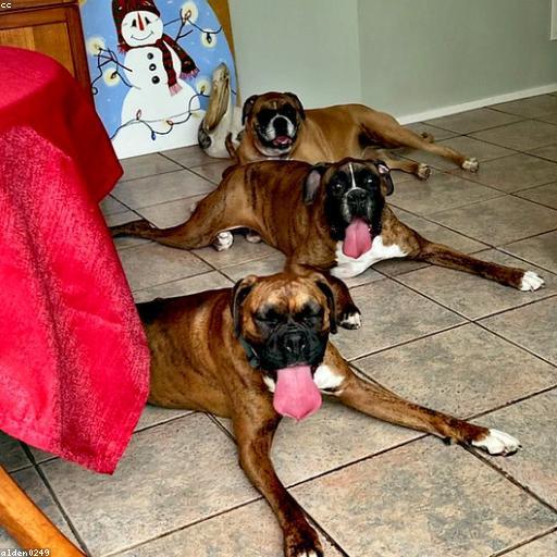 Лёха шиза минус MCP A$AP Rocky X Kendrick Lamar Type Beat 'Test' Type Beat