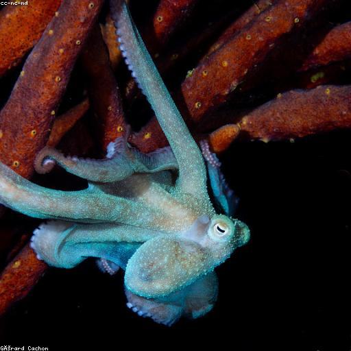 Тёмный мир минус NZVSTN After Death еее