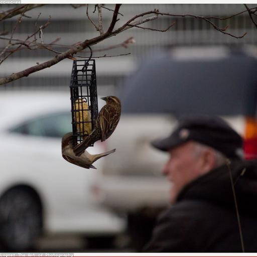 Твари минусBlack Joint Production х Синдром Распада 03 pogonia!