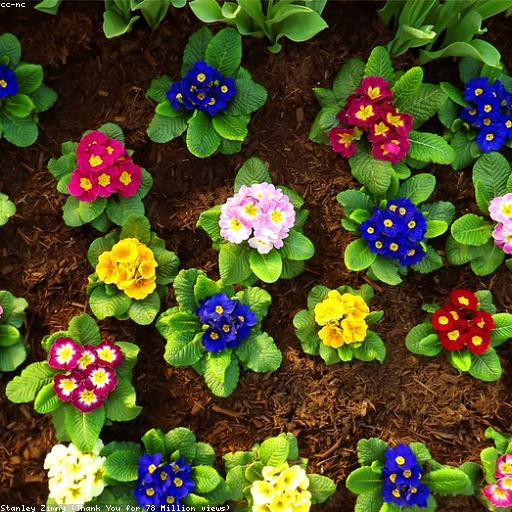 Сука под спайсом минус LOSTSVUND Lullaby w White Punk