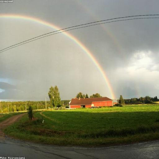 19 дней минусX MAZE PRODUCTION FIRE