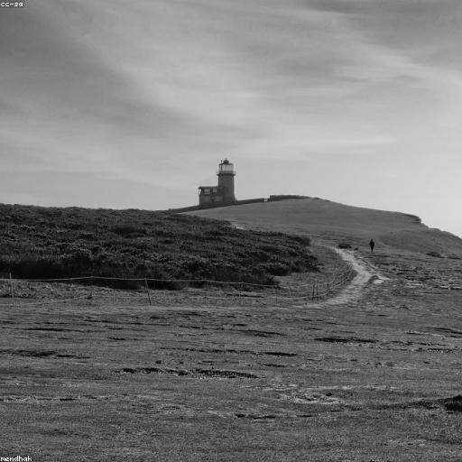 мания Данча