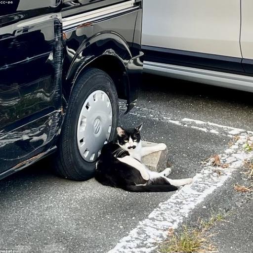 биточек хуеточек